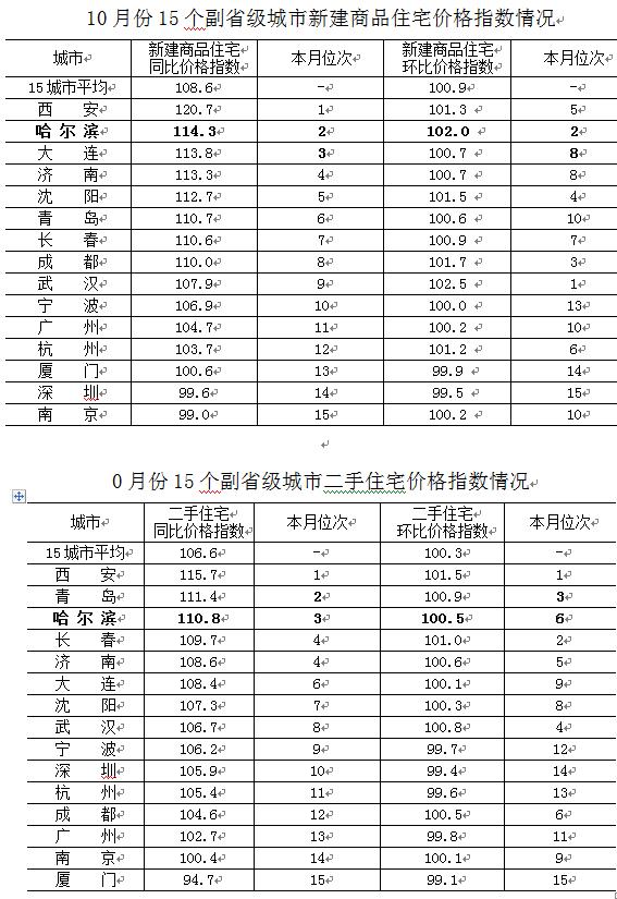 长春市企业调查队未来发展规划展望