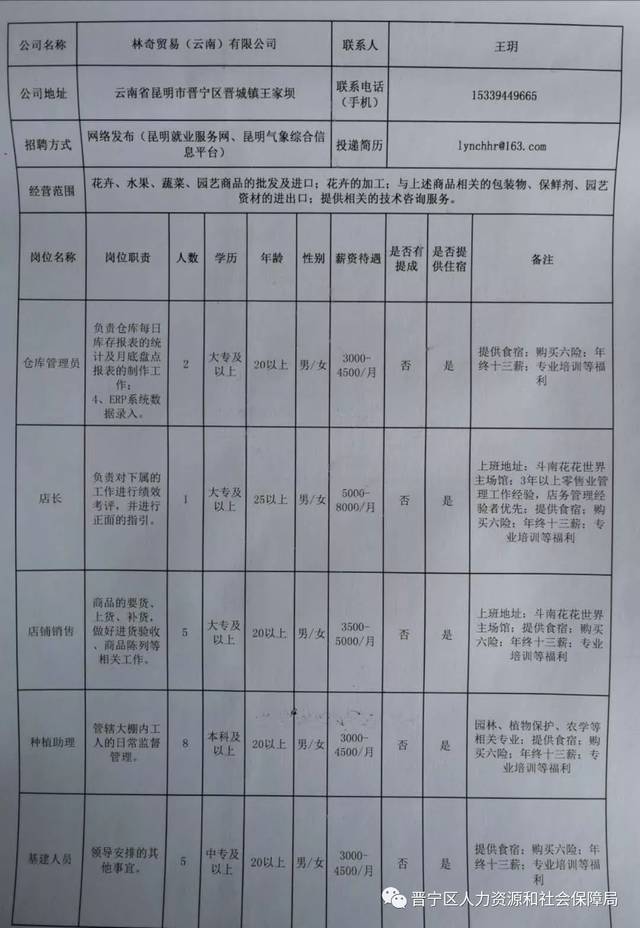 新平彝族傣族自治县教育局招聘公告概览