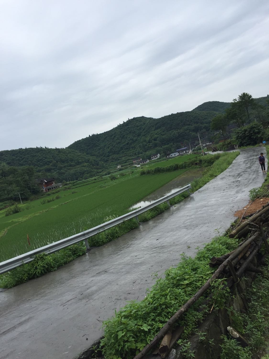 龙苴镇天气预报更新通知