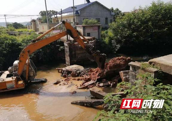 衡龙桥镇新项目，引领地区发展新标杆