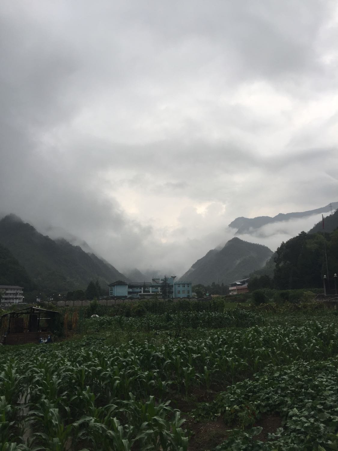 水边镇天气预报更新通知