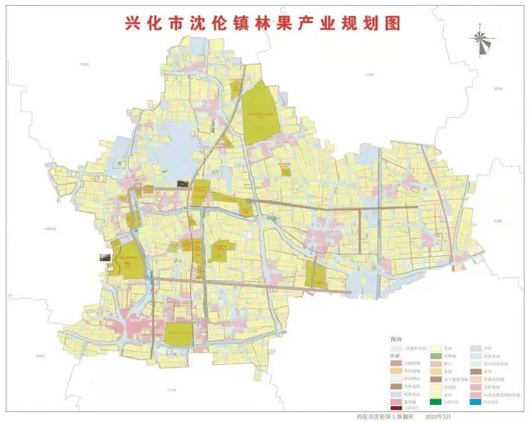 五棵树镇未来繁荣蓝图，最新发展规划揭秘