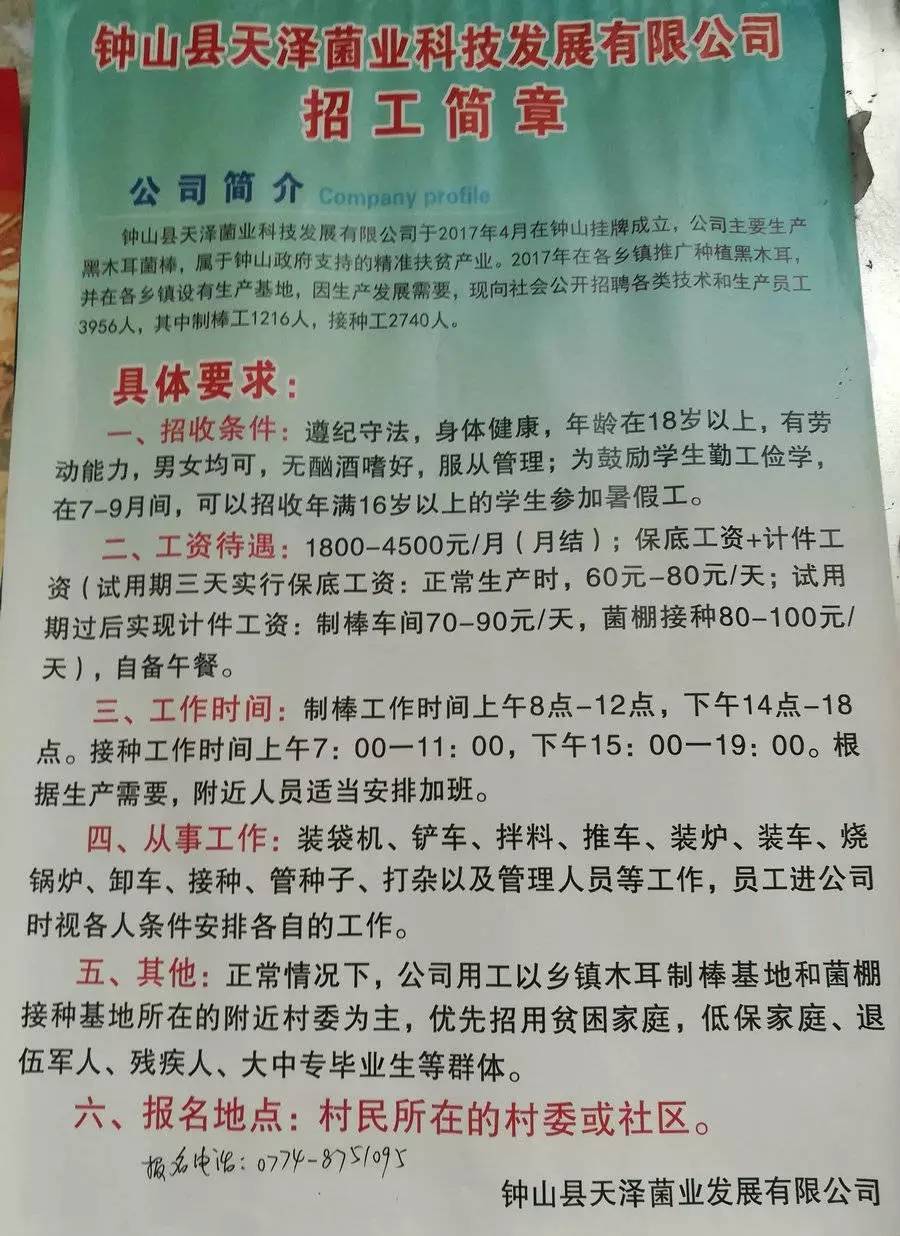 木耳镇最新招聘信息全面解析