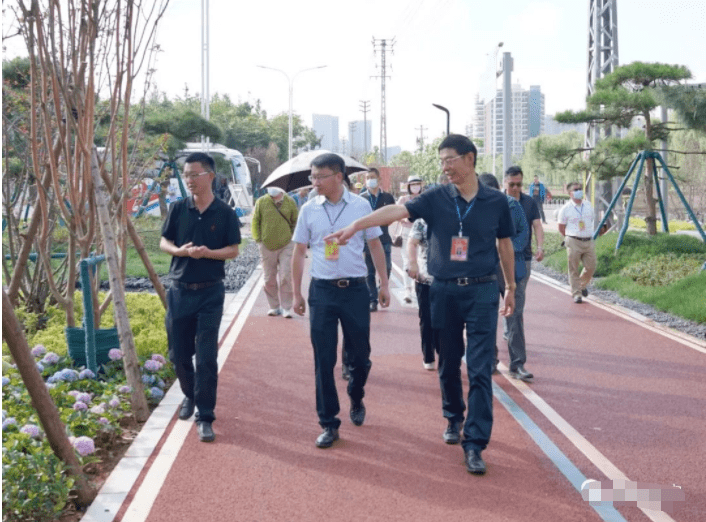 连然街道办事处新项目，城市更新与社区发展的动力源泉